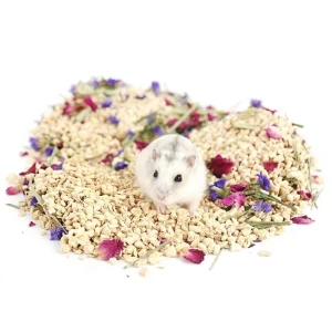Bắp lót lồng cho chuột hamster (KHUYẾN MÃI MUA 2 TẶNG 1 KHI MUA BẮP từ 200g - 450g - 1KG)
