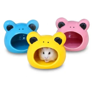 Nhà Ngủ Chuột Hamster - Nhà Ngủ Sứ Ếch Mắt Đen